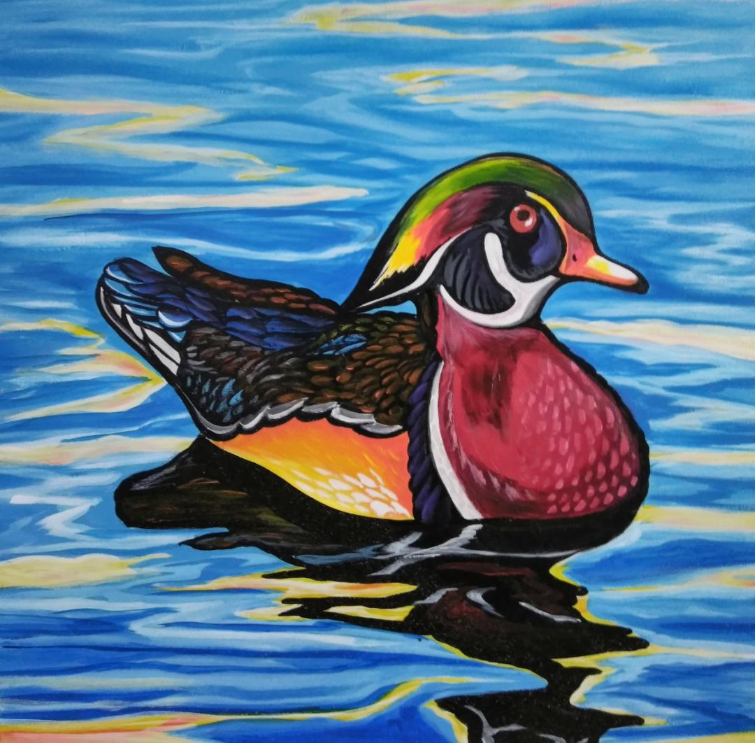 "Wood Duck" Painting